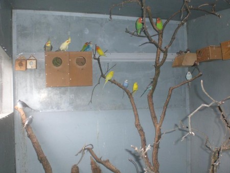 Interior do Viveiro (Foto3)